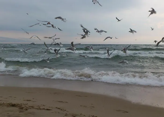 Alojamento de Acomodação e Pequeno-almoço Goscinne Fala 3*